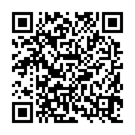 QR code for RYQ380