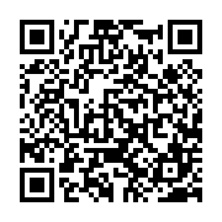 QR code for RZT006