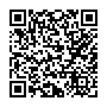 QR code for RZU333