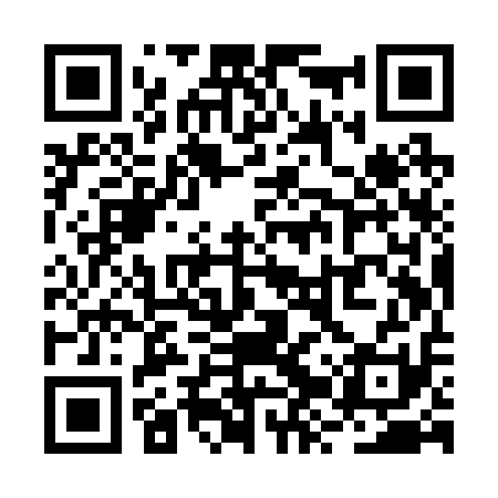 QR code for RZYR11