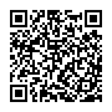 QR code for SAP641
