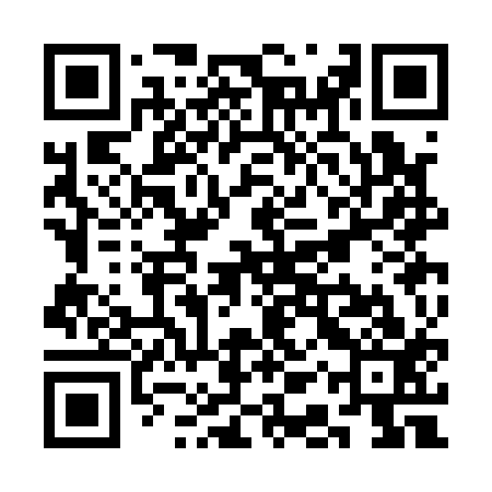 QR code for SASA13