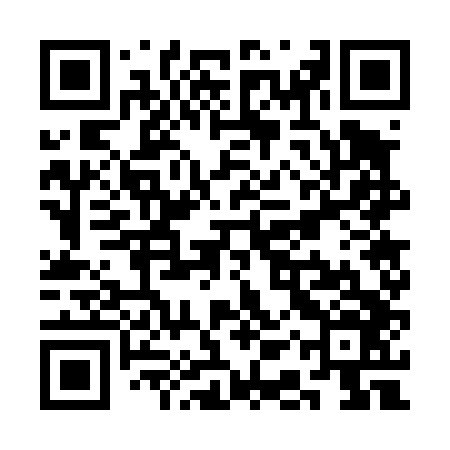 QR code for SAW446