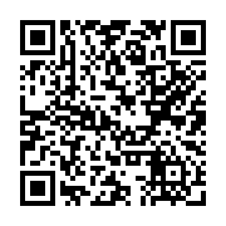 QR code for SCR394