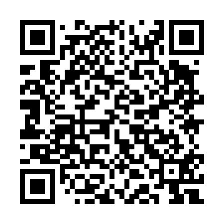 QR code for SDI411