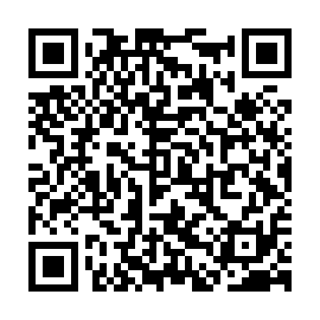 QR code for SDVH11