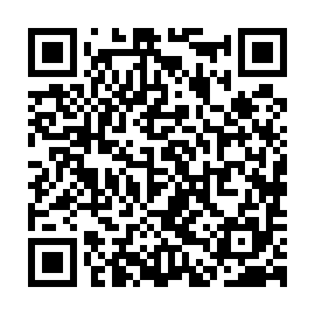 QR code for SDX595