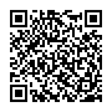 QR code for SDYN12
