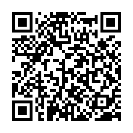 QR code for SEFM19