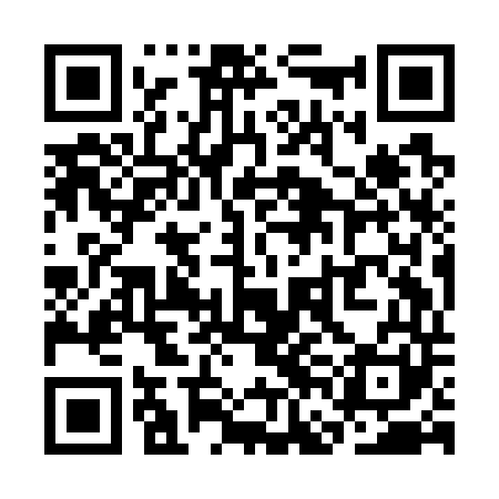 QR code for SFIG41