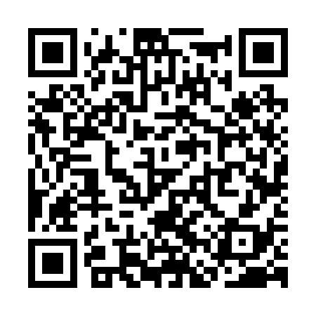 QR code for SFV238