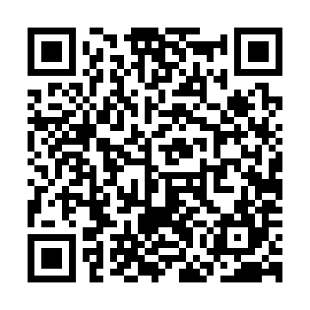 QR code for SGD384