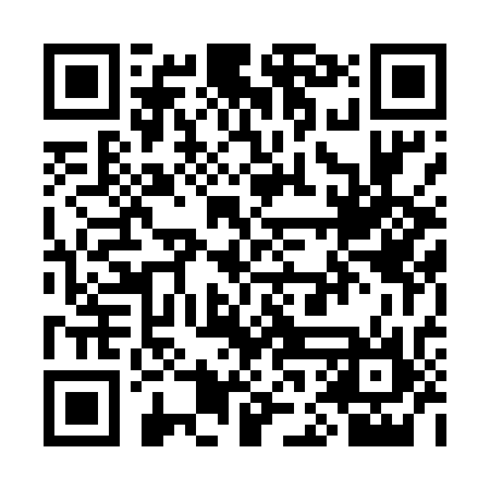 QR code for SGD536