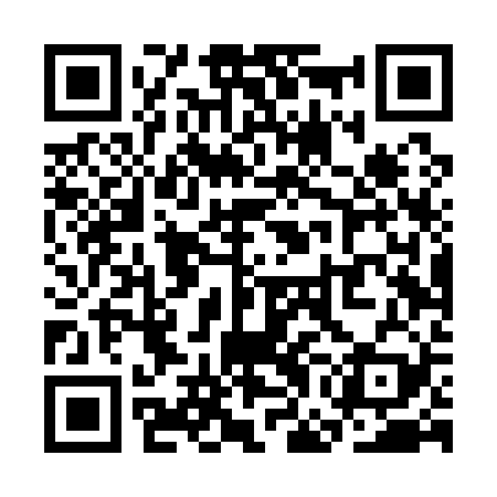 QR code for SGDQ29