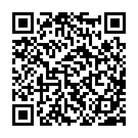 QR code for SGP381