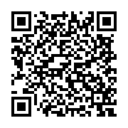 QR code for SGRM17