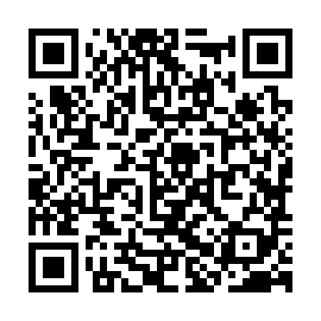 QR code for SHZ389