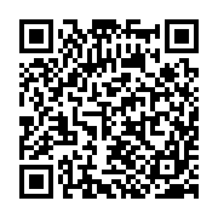 QR code for SIA397