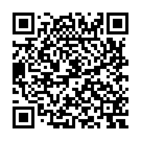 QR code for SIAI52