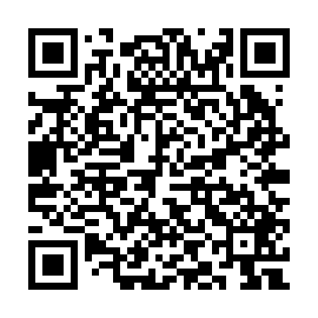 QR code for SIER49