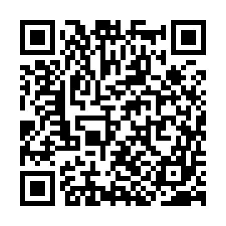 QR code for SII957