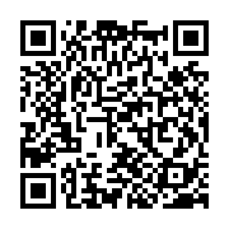 QR code for SIIN38