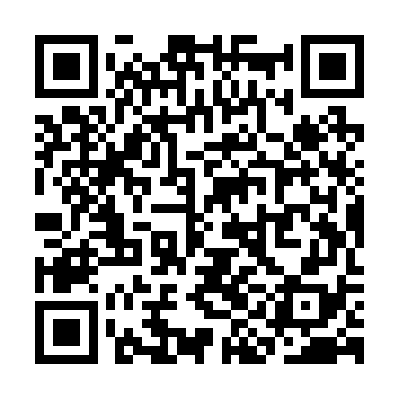 QR code for SIIR78