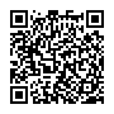 QR code for SIIW41
