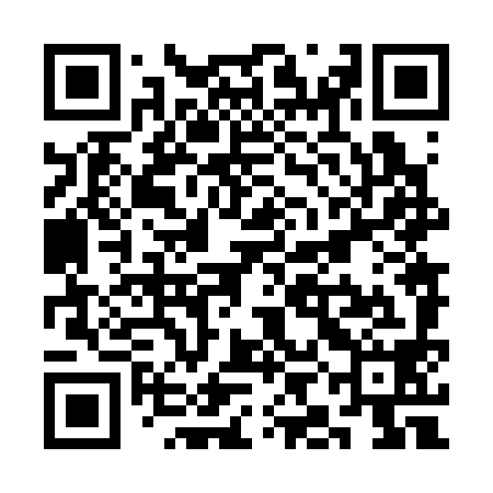 QR code for SIN398