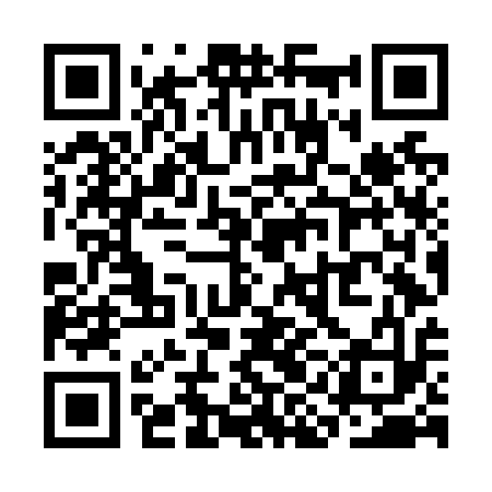 QR code for SINN13
