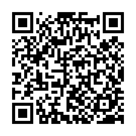 QR code for SINT85