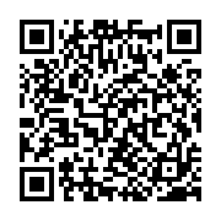QR code for SIOK13