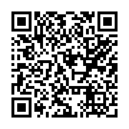 QR code for SIP221
