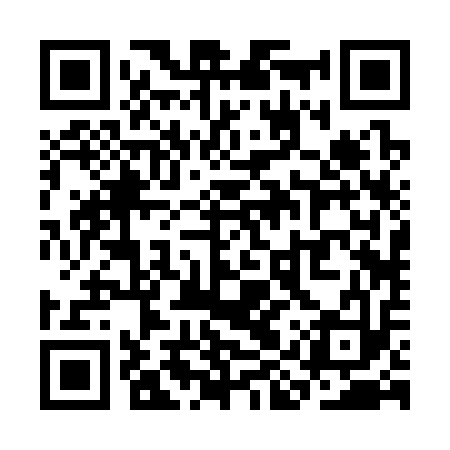 QR code for SIR313