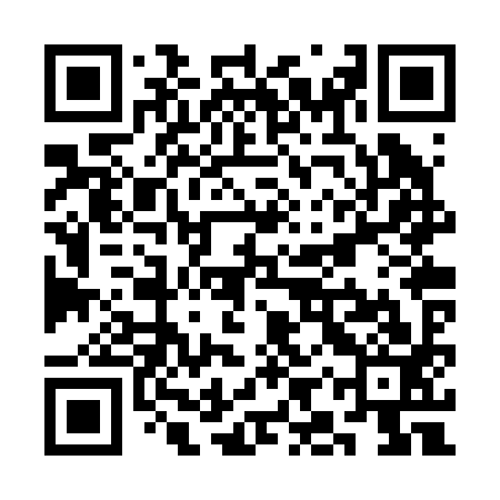 QR code for SIRR93