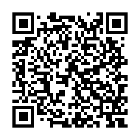 QR code for SKNG96