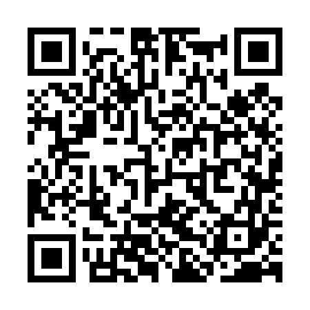 QR code for SLV463