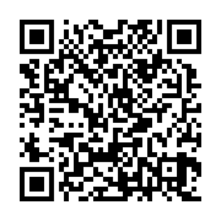 QR code for SLVJ29