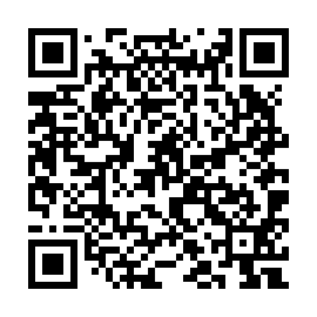 QR code for SLVJ91
