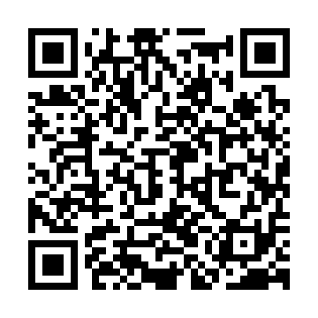 QR code for SMI311