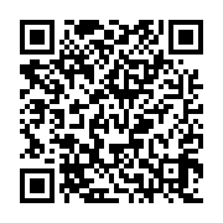 QR code for SMSE19