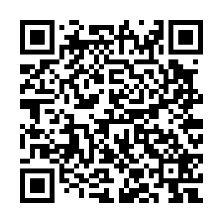 QR code for SMWP29