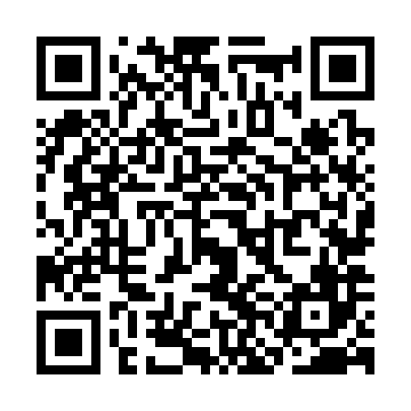 QR code for SNN386