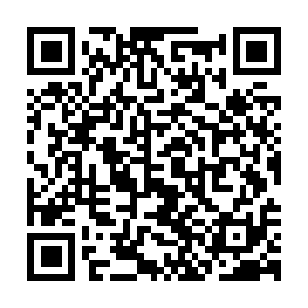 QR code for SNOJ11