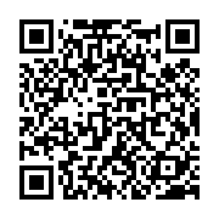 QR code for SOMT29