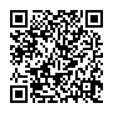 QR code for SPAI37