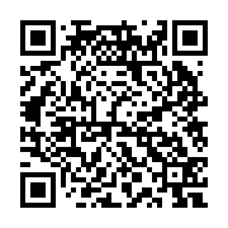 QR code for SPB233