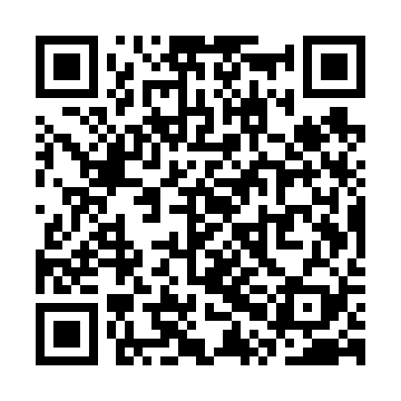 QR code for SPEV29