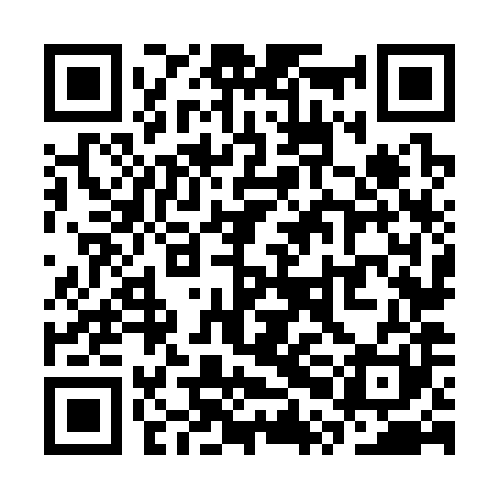 QR code for SPN381