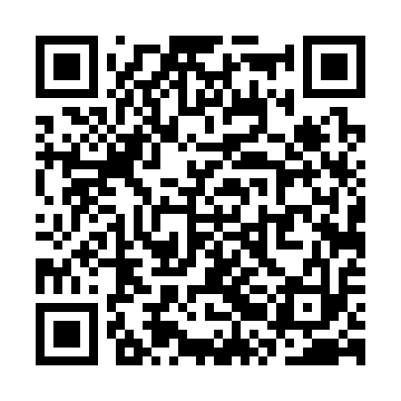 QR code for SRD313